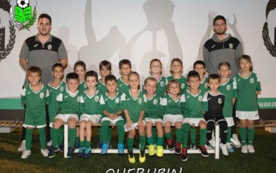 Querubín