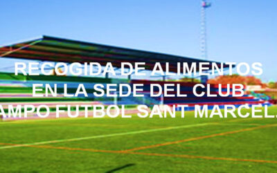 Recogida de alimentos en la sede del Club