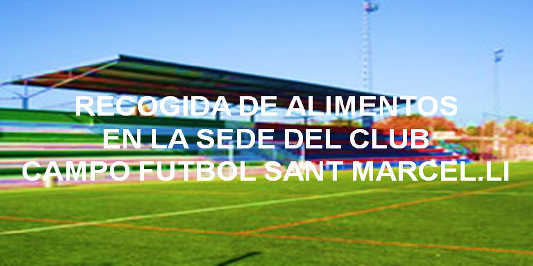 Recogida de alimentos en la sede del Club